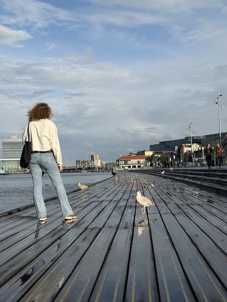 A person stands on a wet wooden boardwalk at De Ruijterkade, Centrum, Amsterdam, looking out over the water with several seagulls nearby